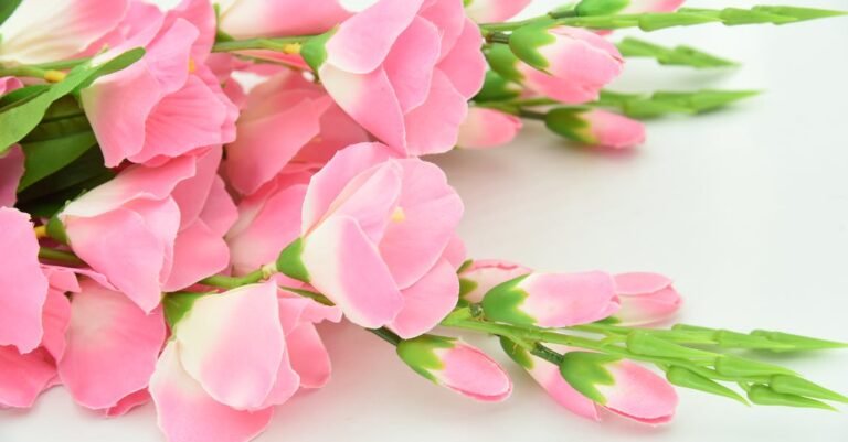 Beauty Tips Everyone Must Know About