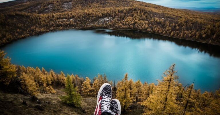 All You Have Ever Wanted To Know About Shoes